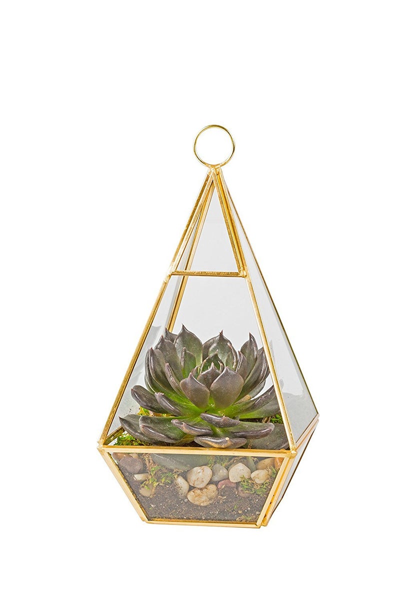 DECO D'Eco Hanging Glass Pyramid Plant Terrarium (5x5x10)- Indoor Tabletop Gold Geometric Planter Terrarium for Succulents, Air Plants, Moss - Home & Office Holiday Decor - Xmas Gift for Plant Lovers - Image 1